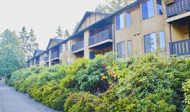 Photo of Sheffield Apartments